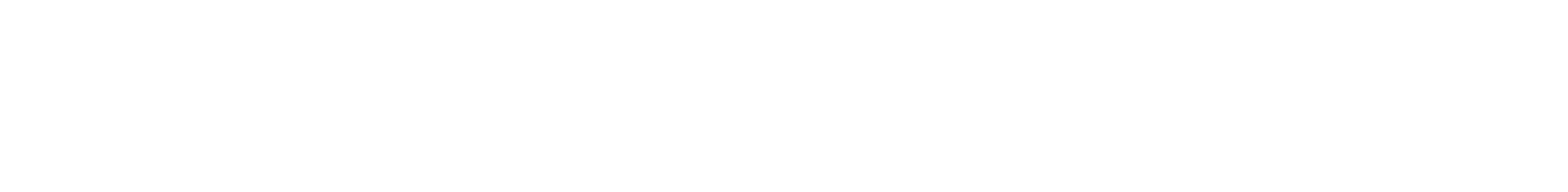 DELUXE TWIN