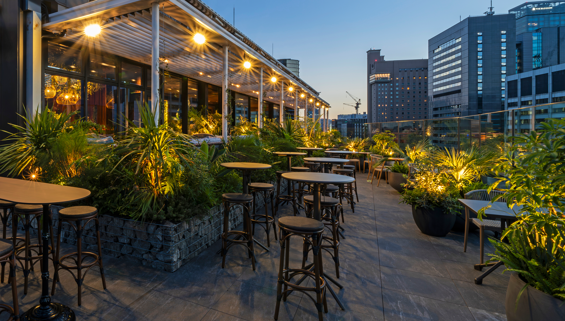 Rooftop Bar piro ginza