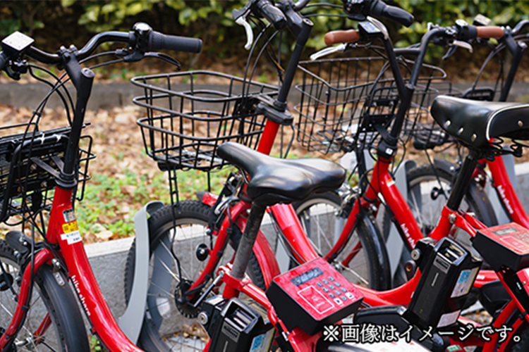 Bicycle Rental