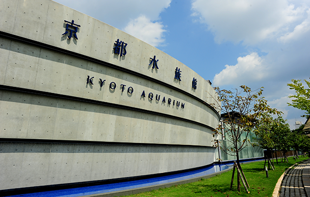 京都水族館1