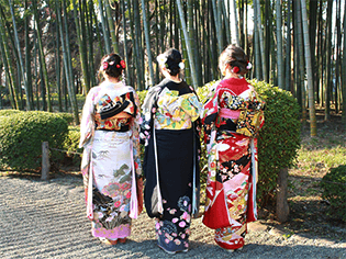 新成人お祝いプラン