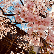 祇園白川（ホテ...