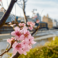 鴨川（ホテルか...