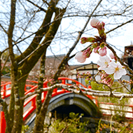 下鴨神社（ホテ...