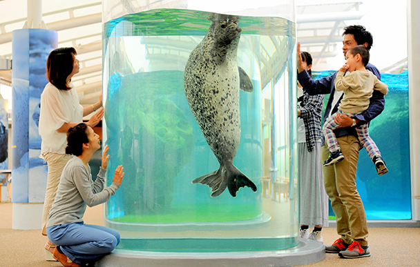 京都水族館2