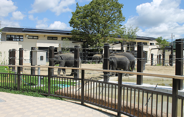 京都市動物園2