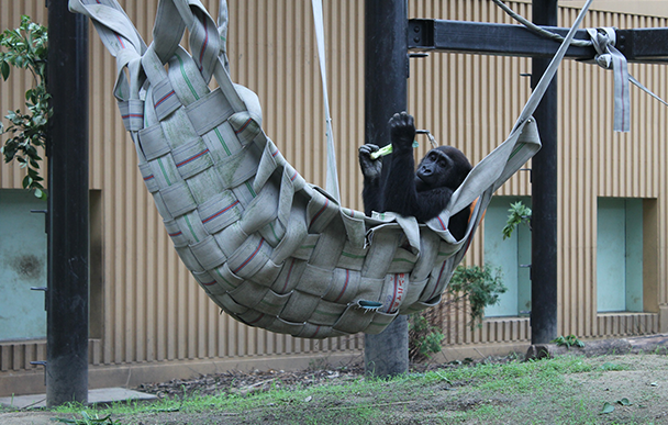 京都市動物園3