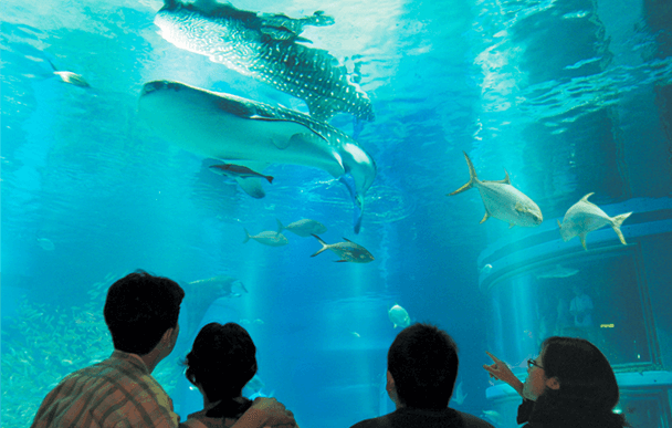 海遊館