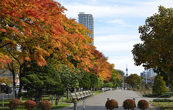 大通公園2