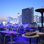 13F roof top bar ＆ terrace G / Terrace