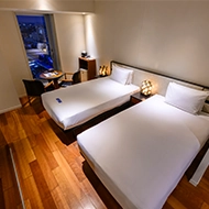 エグゼクティブマチュアツイン