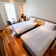 エグゼクティブマチュアツイン