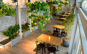 Re-open after renovation