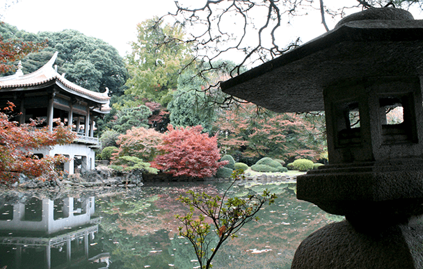 Shinjuku Gyoen National Garden